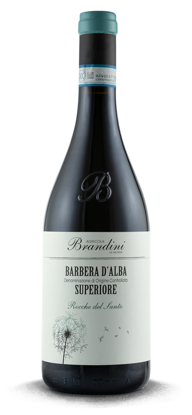 Barbera d'Alba Superiore Rocche del Santo